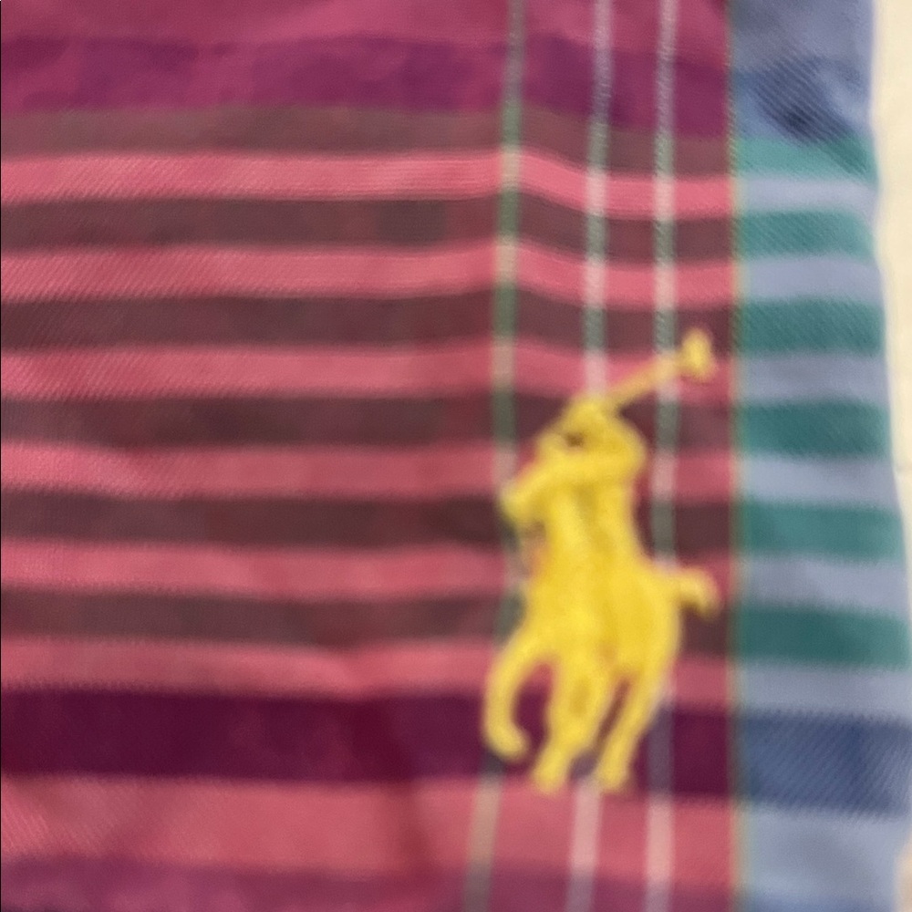 Ralph Lauren Multicolor Plaid Swim Shorts with Embroidered Polo Size 2T - Picture 4 of 4